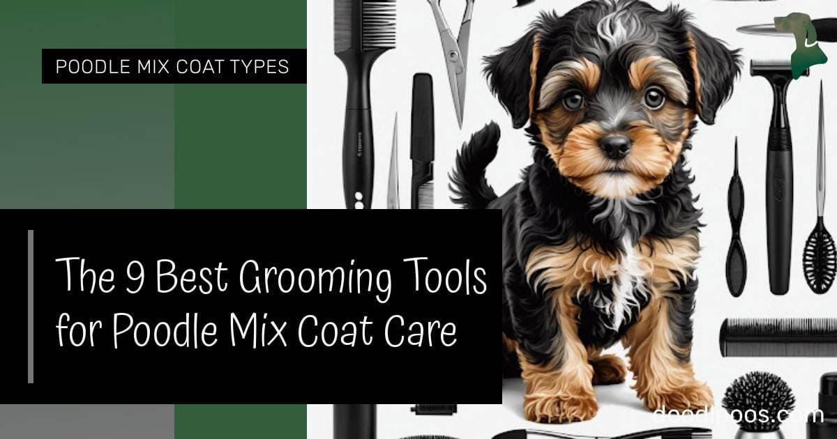 View of The 9 Best Grooming Tools for Poodle Mix Coat Care