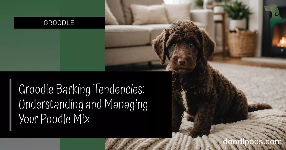 Groodle Barking Tendencies: Understanding and Managing Your Poodle Mix