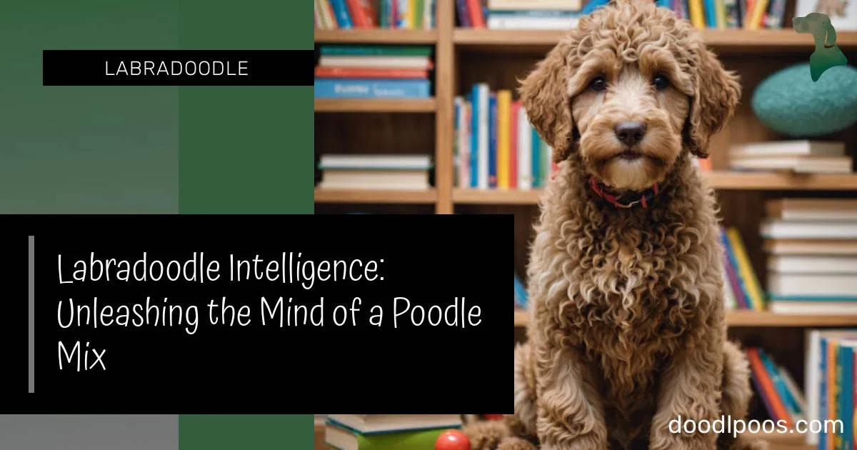 Labradoodle Intelligence: Unleashing the Mind of a Poodle Mix