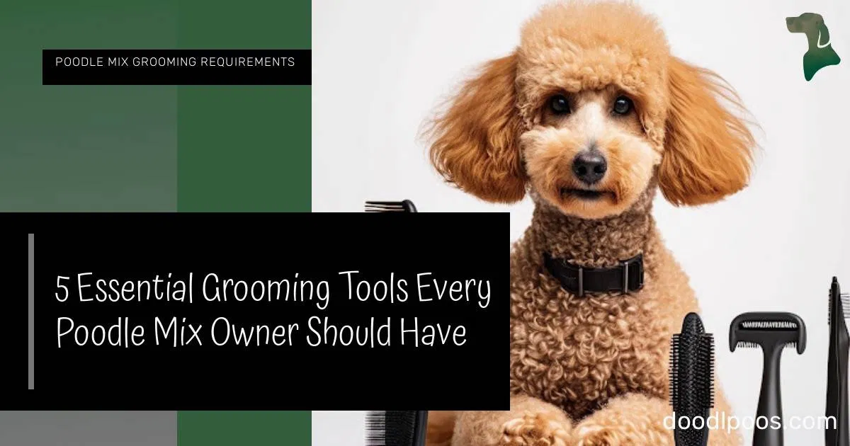 12 Grooming Tips for Poodle Mixes to Maintain Health and ... - DoodlPoos