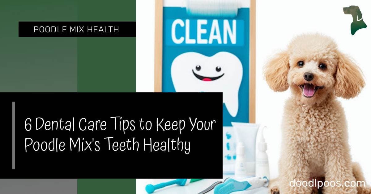 Image showcasing 6 Dental Care Tips to Keep Your Poodle Mix's Teeth Healthy